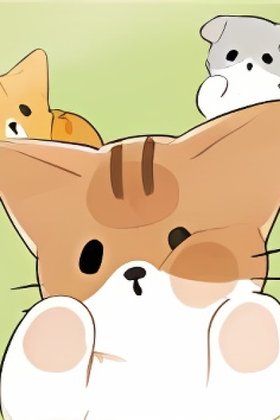 Pound Cat