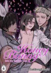HoneyBunny ~ Into the Rabbits' Den ~