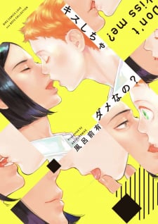 Kiss Shicha Dame nano?
