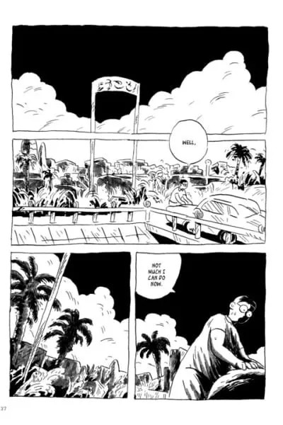Palm Trees