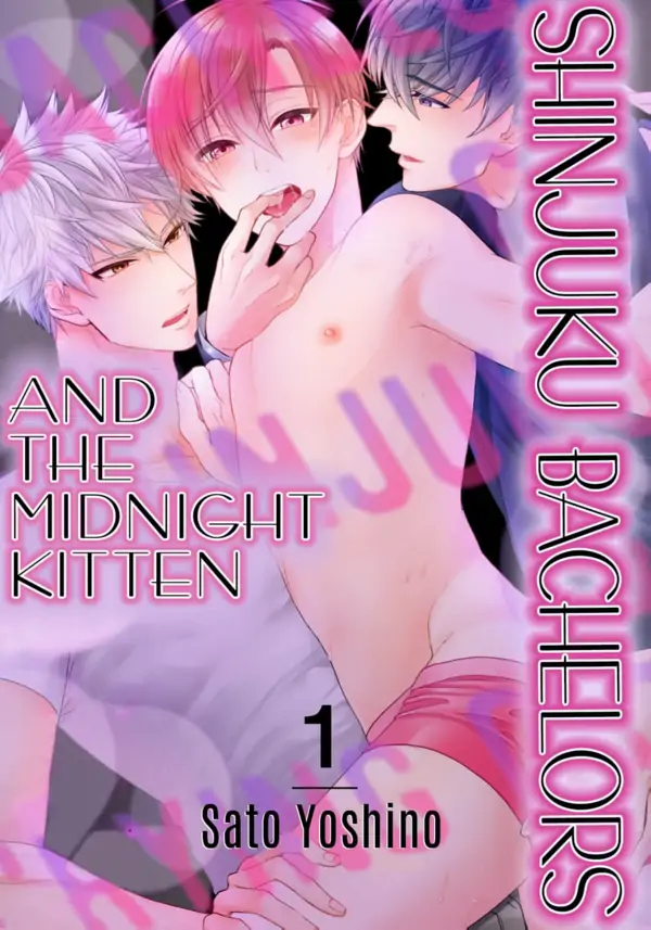 Shinjuku Bachelor to Yonaki Neko