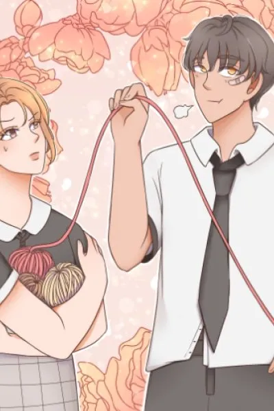 The Knitting Club