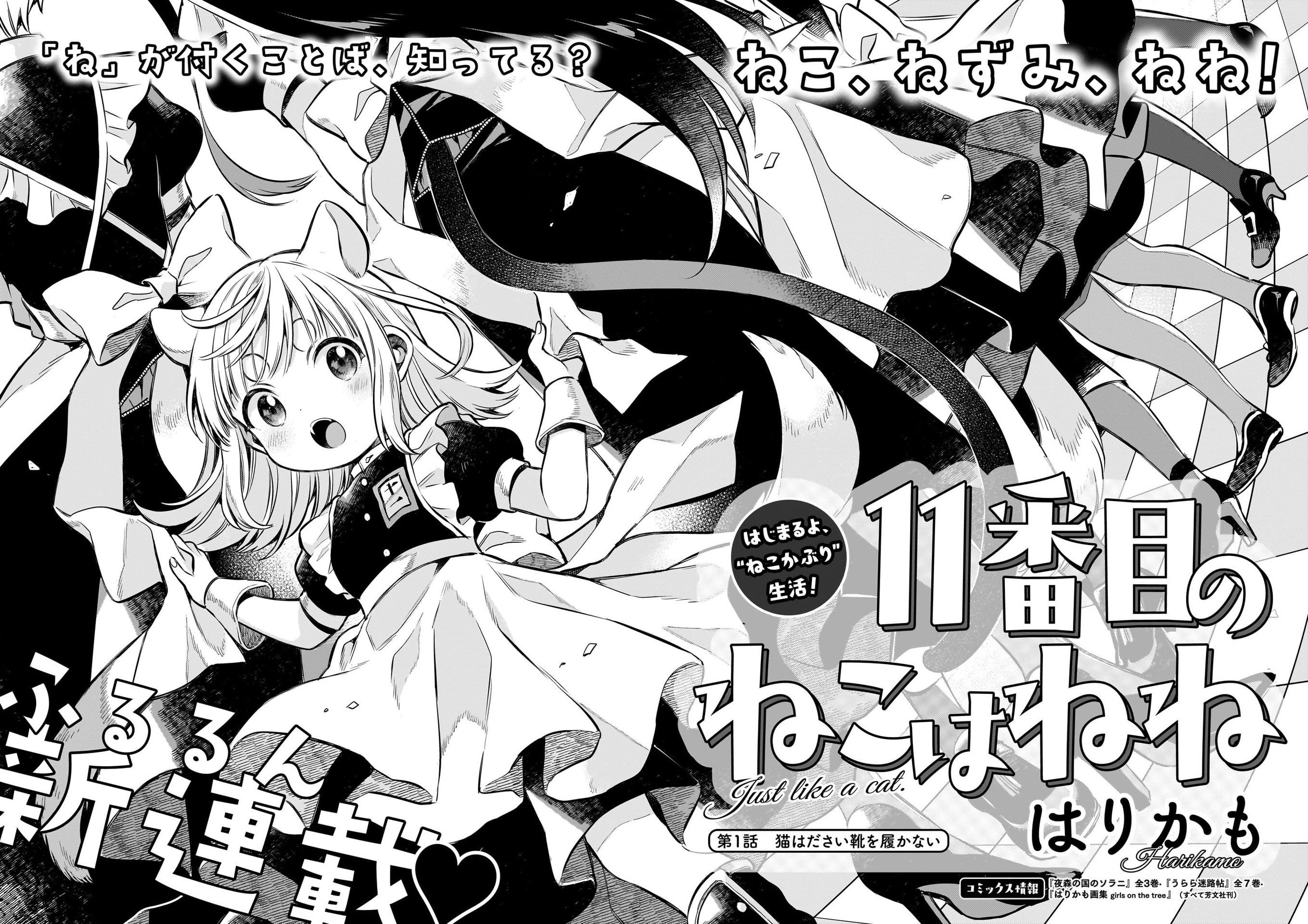 11 banme no neko wa nene
