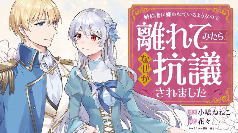 Fiancé ni Kirawarete Iru Younanode Hanarete Mitara, Naze ka Kougi Saremashita