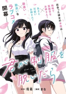 Kimi wa Seifuku wo Nuidara