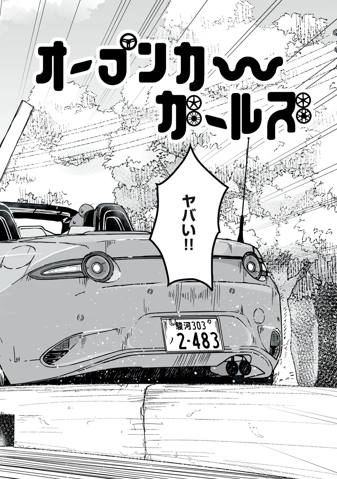 Open Car Girls