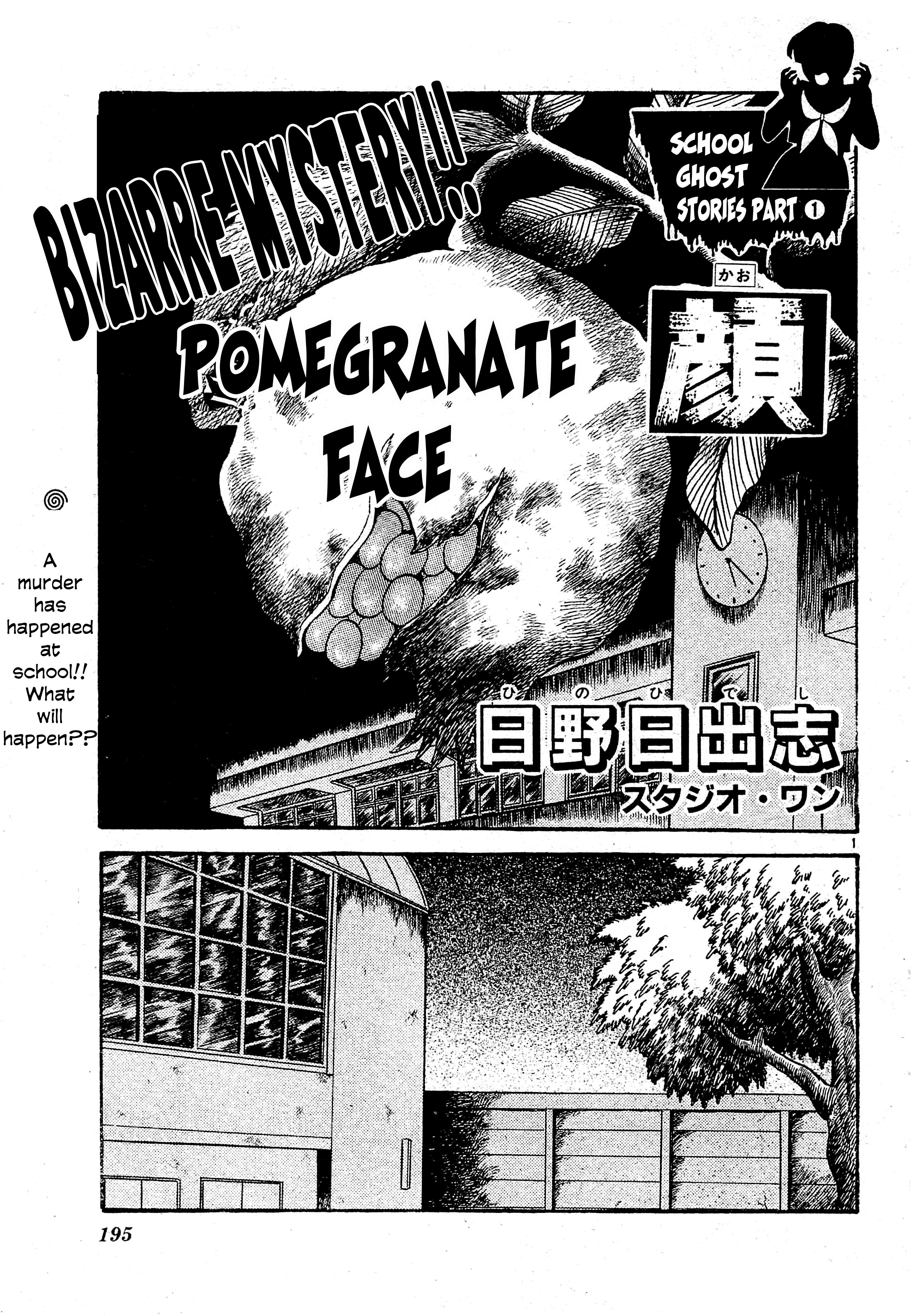 Pomegranate Face