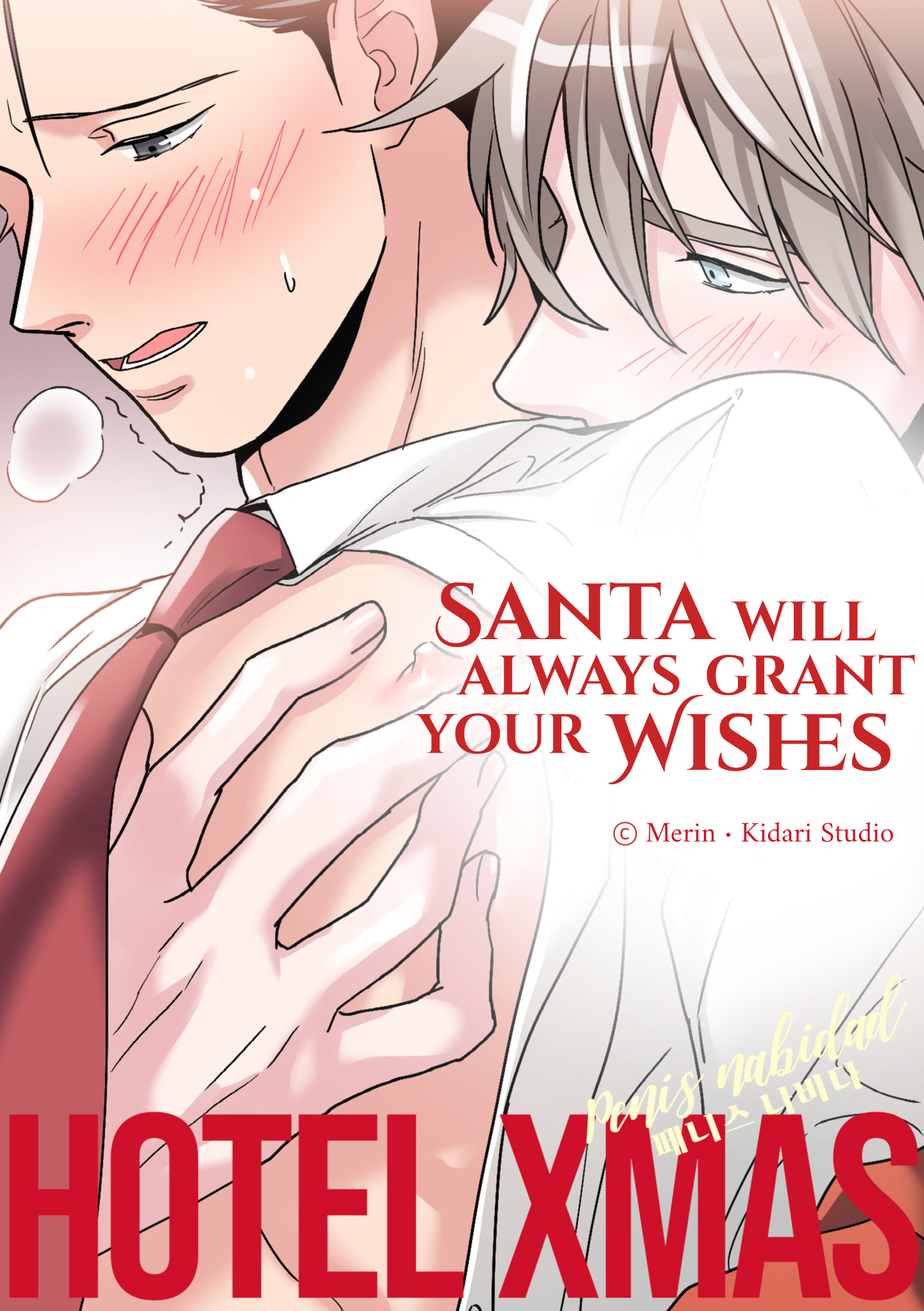 Santa Will Always Grant Your Wishes