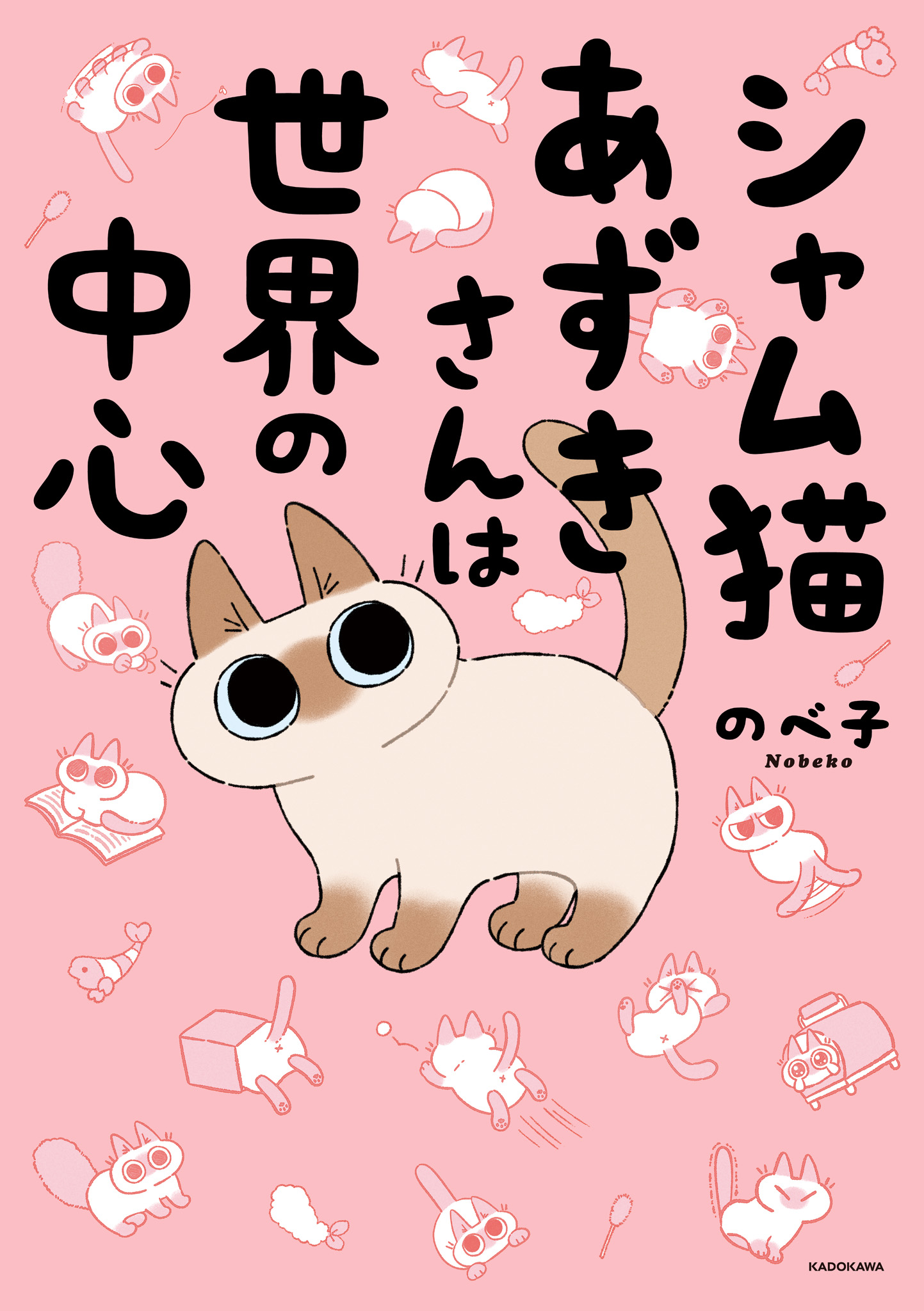 Siamese cat Azuki is the center of the world thumbnail