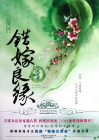 Cuo Jia Liangyuan Zhi Xi Yuan Lu (Novel) thumbnail