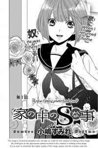 Do S Na Oniichan To No Atarashii Koi No Hajimekata Oshiete Kudasai