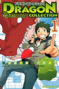 Dragon Collection - Ryuu O Suberumono thumbnail