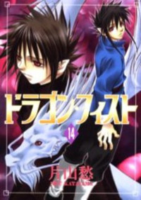 Dragon Fist (katayama Shuu)