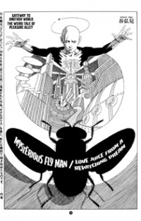 Mysterious Fly Man / Love Juice From A Bewitching Dream