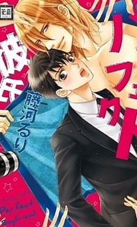 Perfect Kareshi