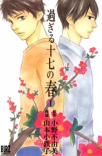 Sugiru Juunana No Haru