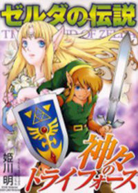 The Legend Of Zelda: A Link To The Past (himekawa Akira)