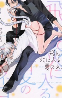 Tonde Hi Ni Iru Natsu No Neko