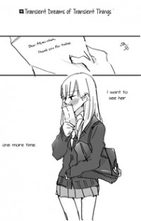 Transient Dreams Of Transient Things