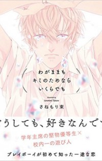 Wagamama Mo Kimi No Tame Nara Ikura Demo