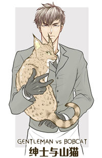 Gentleman vs Bobcat