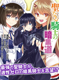 Holy Knight's Dark Road
