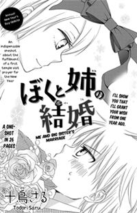 me And Big Sister's Marriage
