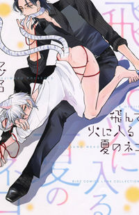 Tonde hi ni Iru Natsu no Neko