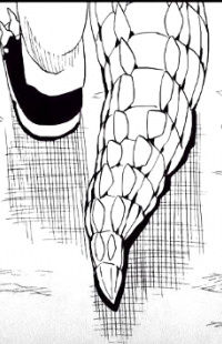 Wani Onii-San