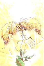 Kiss no Mukou