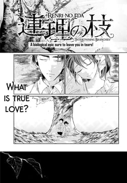 Renri no Eda (Shimokawa Saki)