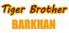 Tiger Brother - Barkhan thumbnail