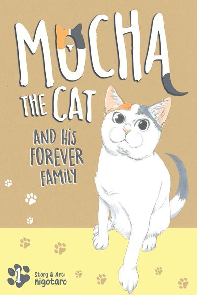 Mocha the Cat and His Forever Family